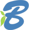 Bluex — Blue Exim